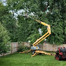 Landscape Design and Installation in Ken Caryl, CO